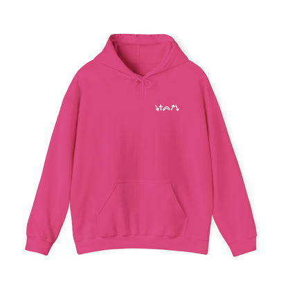 5 Gospel Symbols Hoodie