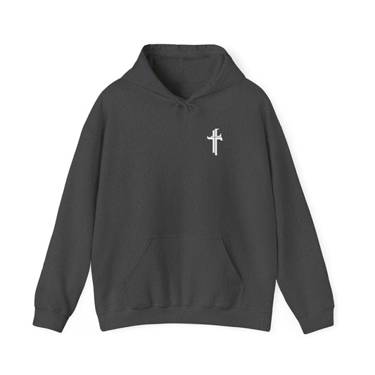 A gray hoodie with a small logo on the upper left front side, featuring a hood with a drawstring, a kangaroo pocket, and long sleeves.