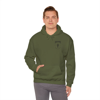 Unashamed Hoodie (Romans 1:16)